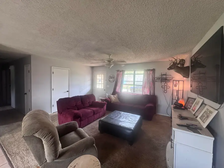 219 W Maverick Street, Goodman, MO 64843 - #3