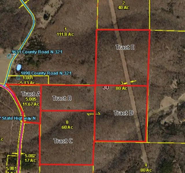 000 State Hwy N, Tract C, Ava, MO 65608 - #2