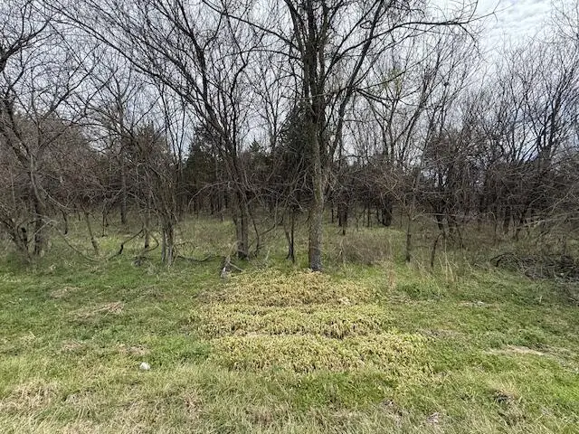 Xxx2 County Road 90, Sarcoxie, MO 64862 - #2