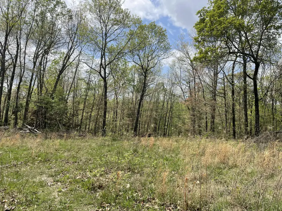 000 State Hwy N, Tract G, Ava, MO 65608 - #3