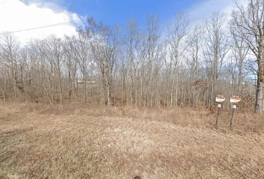 545 State Hwy Z, Wappapello, MO 63966 - #2