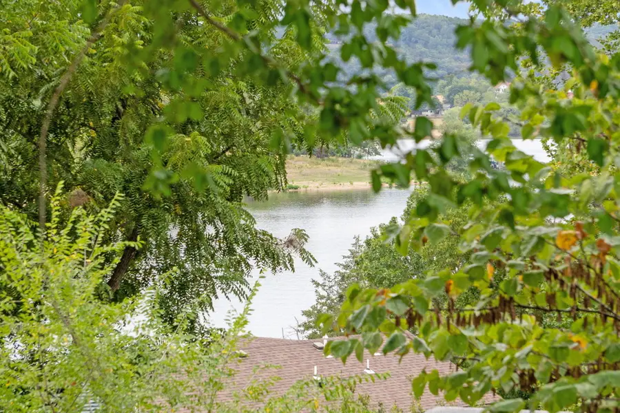 166 Seaman Street, Cape Fair, MO 65624 - #3