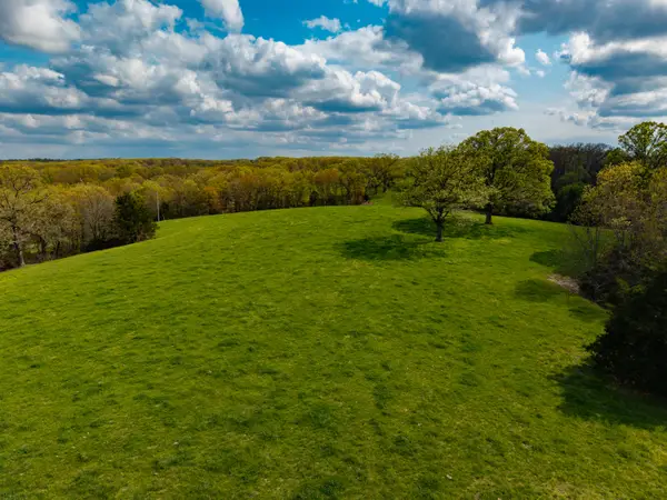 382 Iorg Lane, Sparta, MO 65753