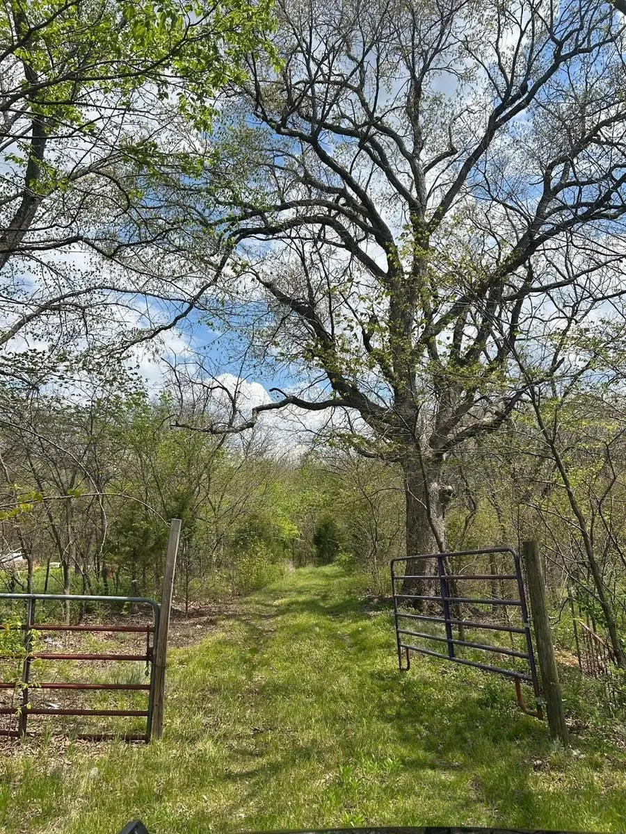 Tbd County Road 1220, Mount Vernon, MO 65712 - #2