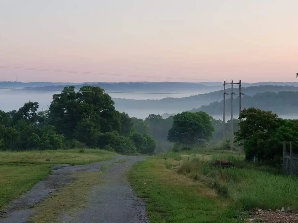 311 Tipton Mountain Road, Reeds Spring, MO 65737 - #1