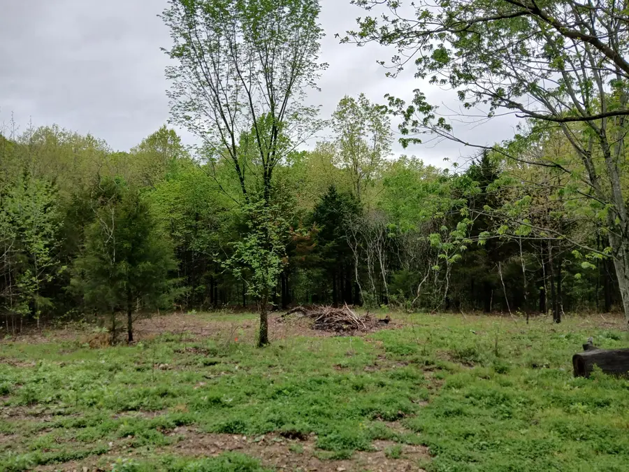 23774 Farm Road 2085, Aurora, MO 65605 - #2