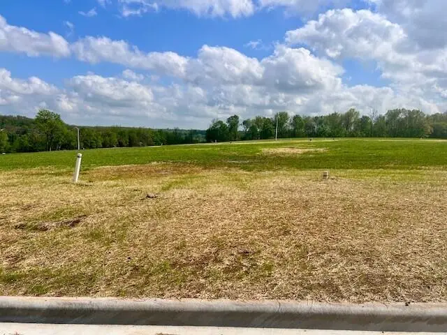 Lot 18 Anthony Park 6th Addition, Springfield, MO 65810 - #3