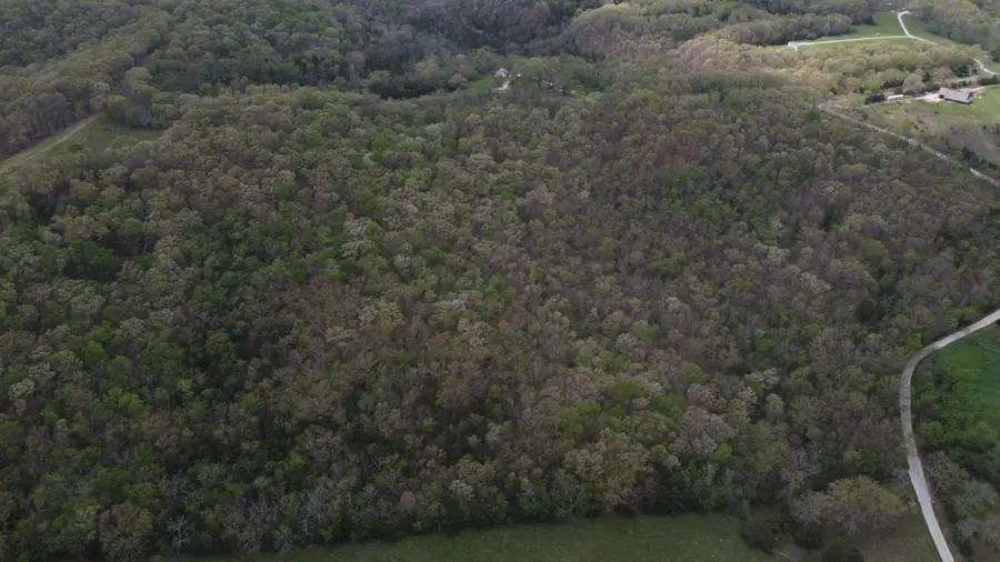 000 S Highway Uu, Chadwick, MO 65629 - #3