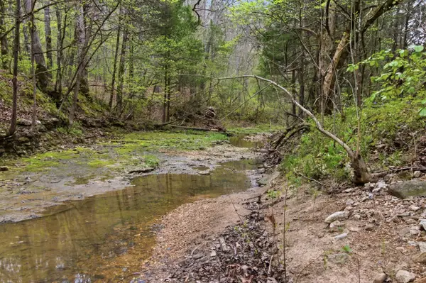 000 Highway 32, Licking, MO 65542