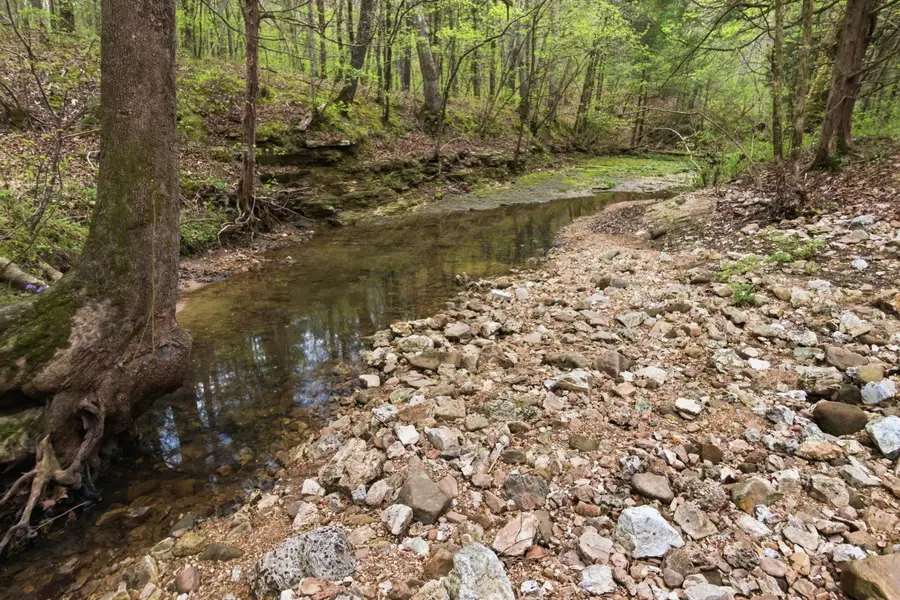 000 Highway 32, Licking, MO 65542 - #3