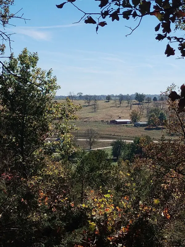 357 E Rolla Street, Hartville, MO 65667