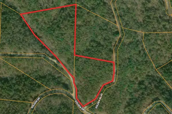 Tbd Golden Drive, Raymondville, MO 65555