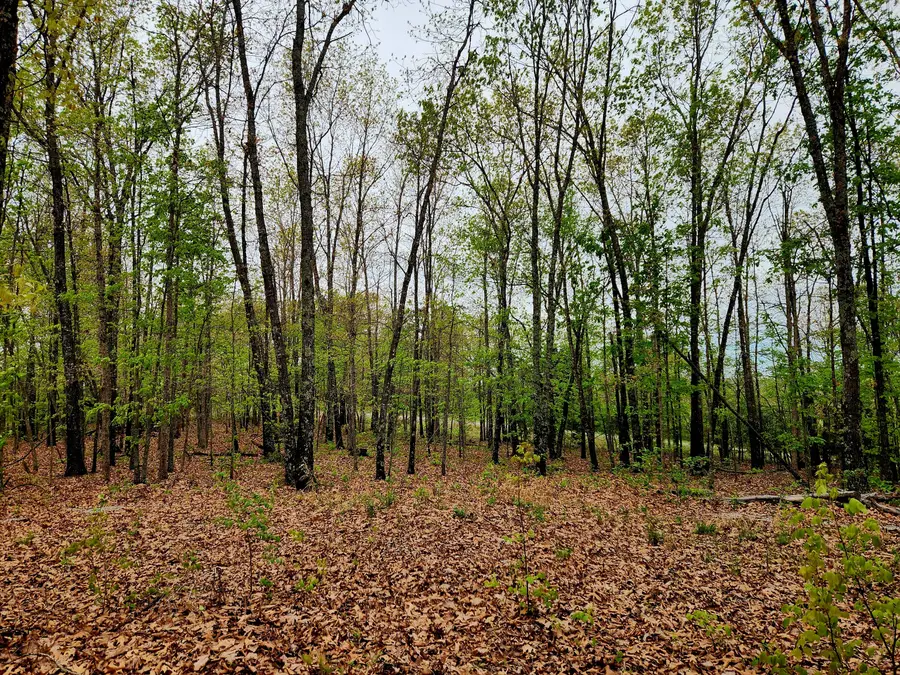 000 State Highway O, Ava, MO 65608 - #2