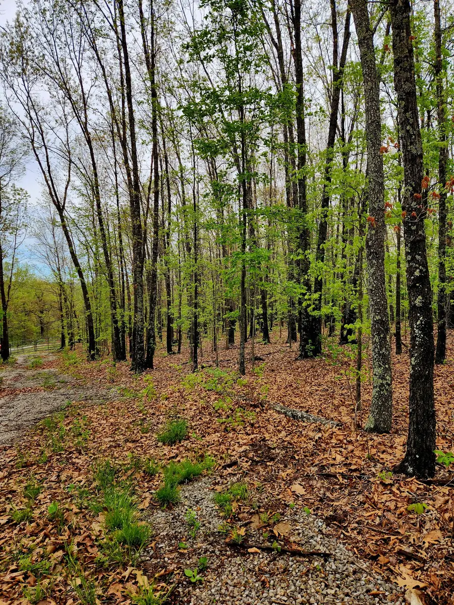 000 State Highway O, Ava, MO 65608 - #3