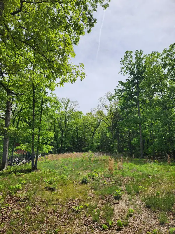 110 Tierra Trail Trail, Lampe, MO 65681