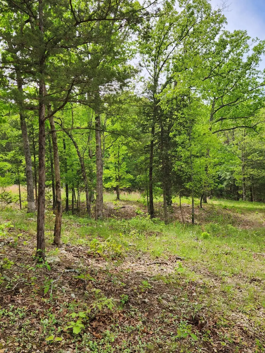 110 Tierra Trail Trail, Lampe, MO 65681 - #2