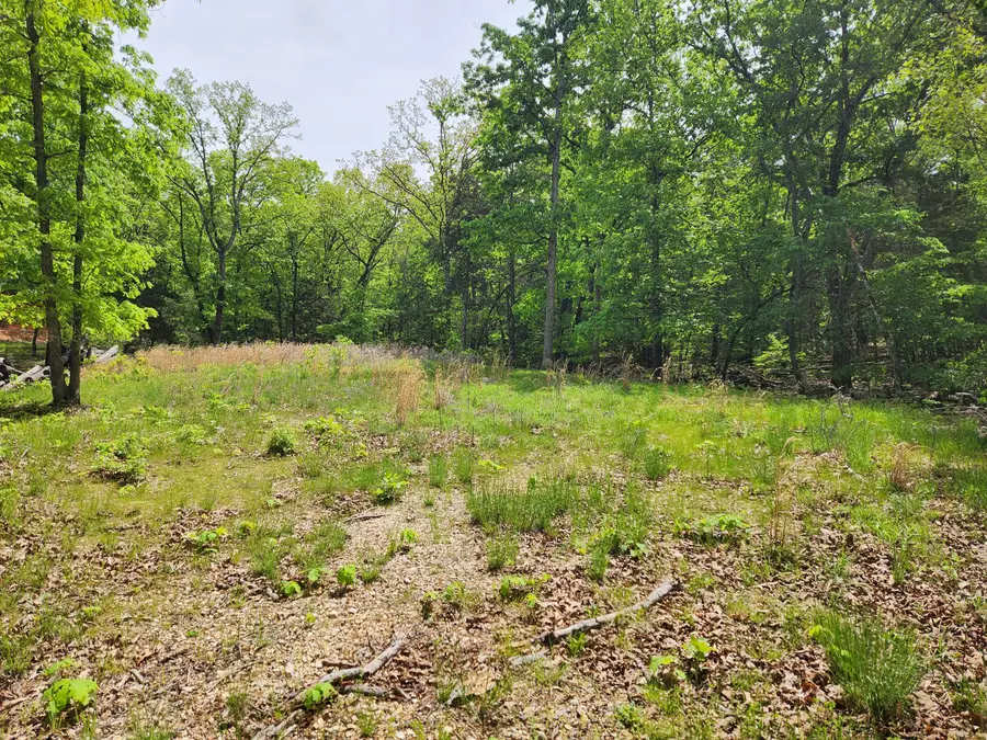 110 Tierra Trail Trail, Lampe, MO 65681 - #3