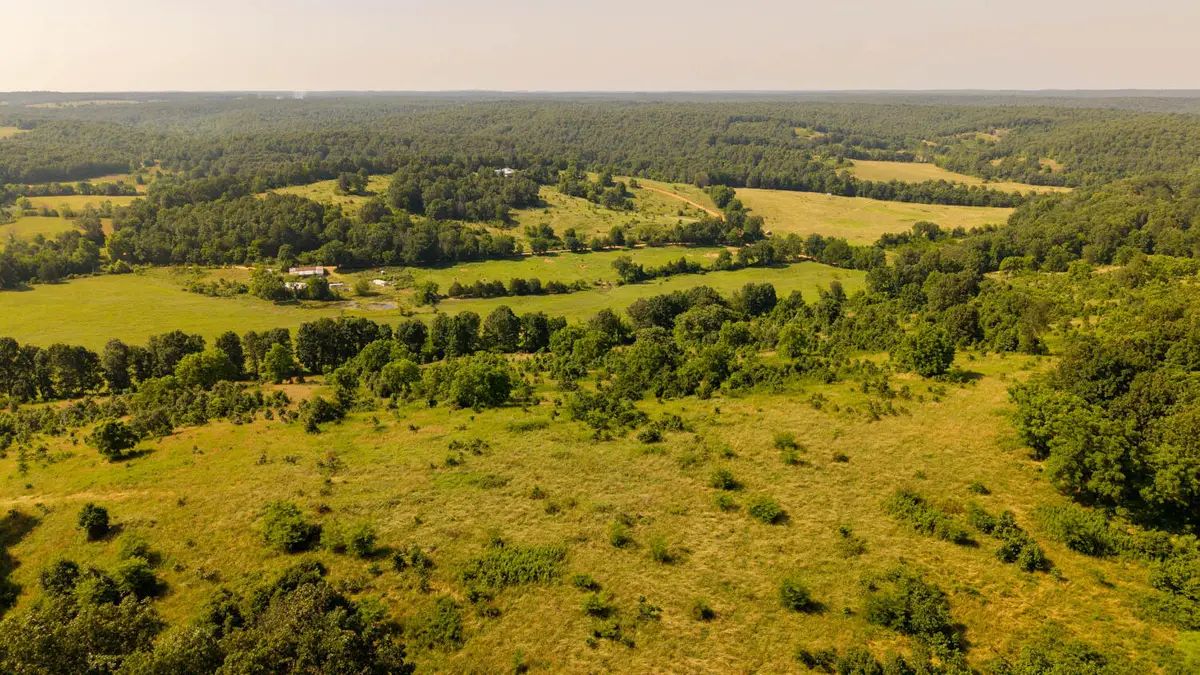 804 Banks Road, Hardy, AR 72542 - #1