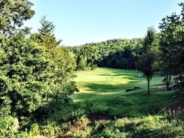 1311 Stoneycreek Lane, Branson West, MO 65737 - #3