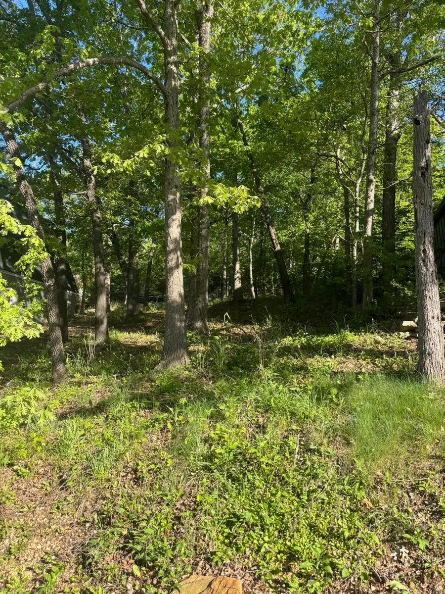 Tbd Black Oak Resort Lane, Lampe, MO 65681 - #2