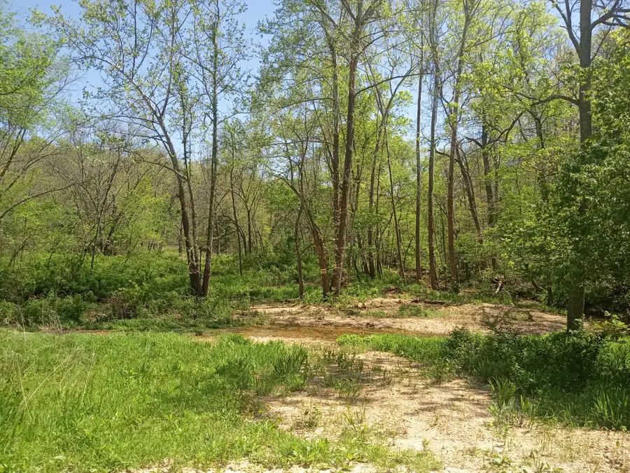 000 Timber Circle, Tunas, MO 65764 - #3