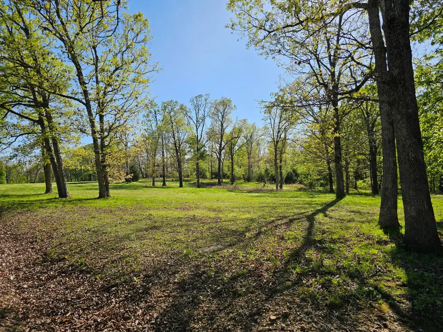 000 Goldfinch Rd, Marshfield, MO 65706 - #2