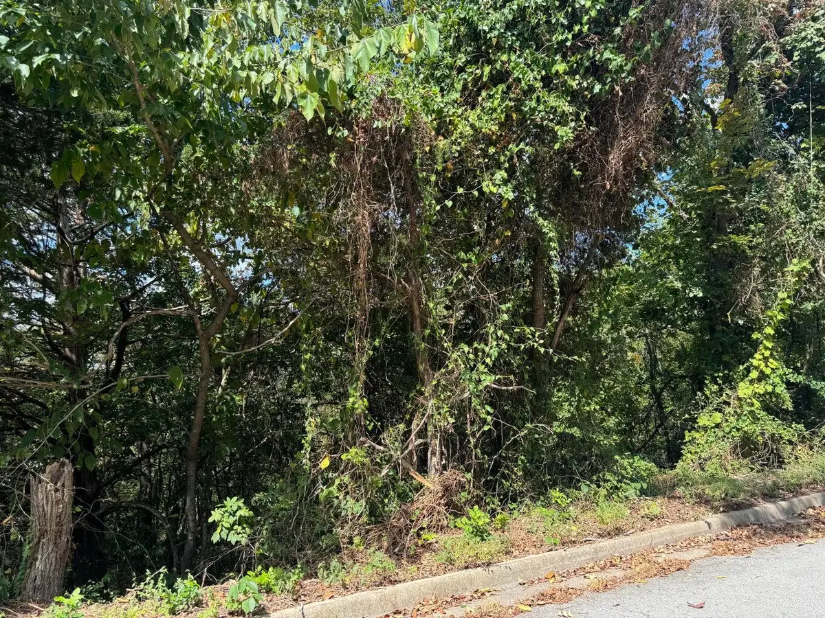 Lot 22 Rose Oneill Drive, Branson, MO 65616 - #1