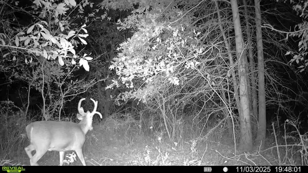 000 E 1300 Road E, Stockton, MO 65785