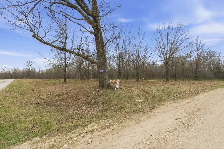 Lot 13 Ireson Estates, Stockton, MO 65785 - #3