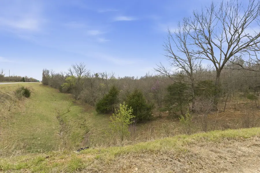 Lot 14 Ireson Estates, Stockton, MO 65785 - #3