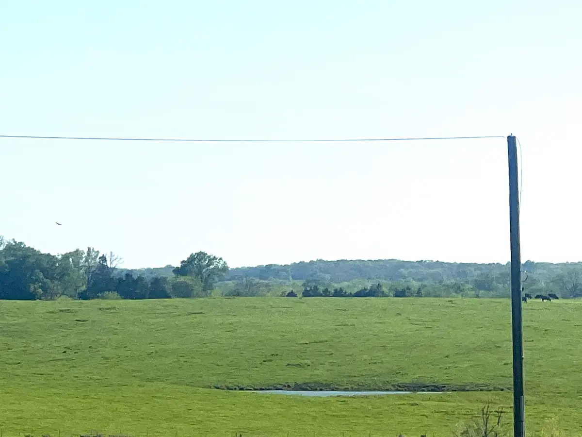 000 State Highway 65, Preston, MO 65732 - #1