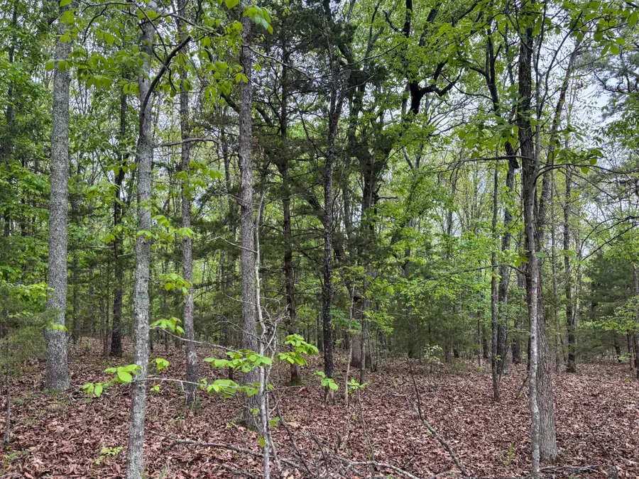 000 County Road 122, Wasola, MO 65773 - #2