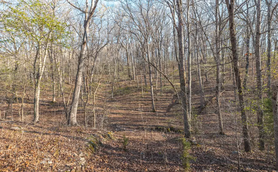 83 Minx Valley Drive, Roach, MO 65787 - #3