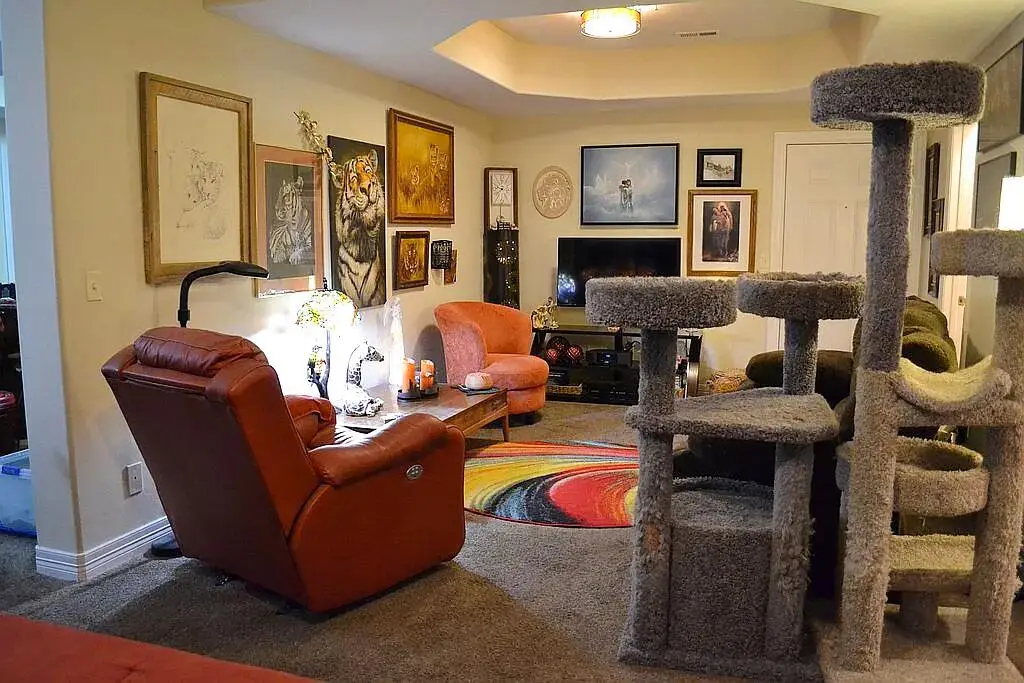 180 Grace Chapel Road #Unit 221, Blue Eye, MO 65611 - #1