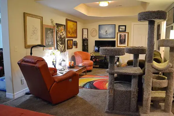 180 Grace Chapel Road #Unit 221, Blue Eye, MO 65611