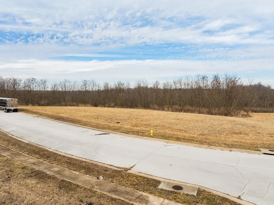 4165 W Wilderness Street, Brookline, MO 65619 - #2