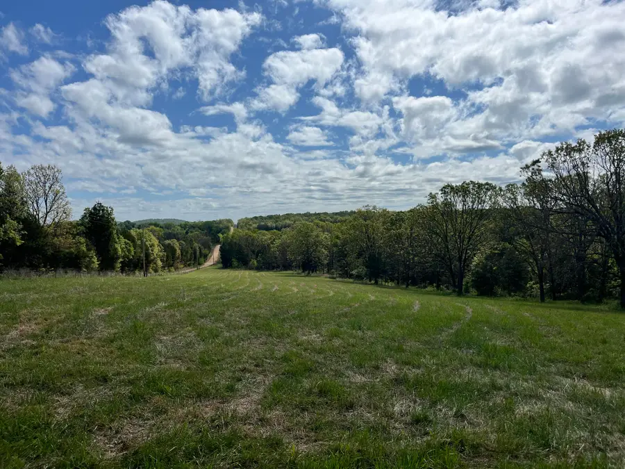 000 County Road 350, Drury, MO 65638 - #2