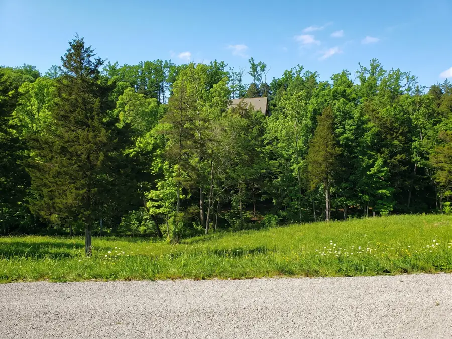 000 Appaloosa Trail, Saddlebrooke, MO 65630 - #2