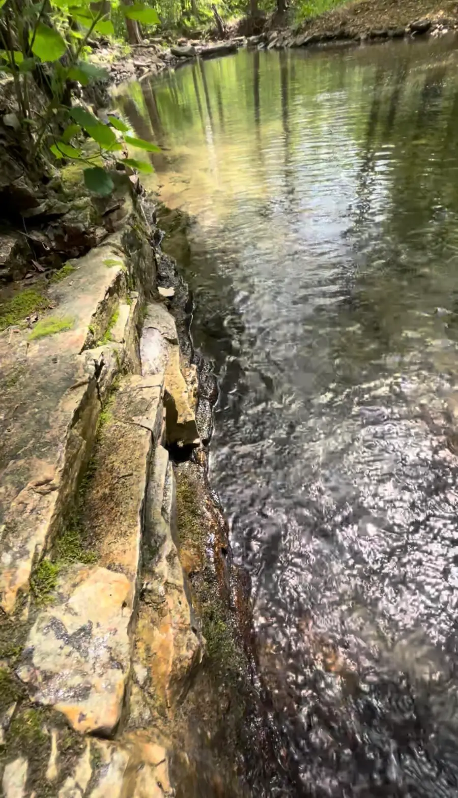 000 Appaloosa Trail, Saddlebrooke, MO 65630 - #3