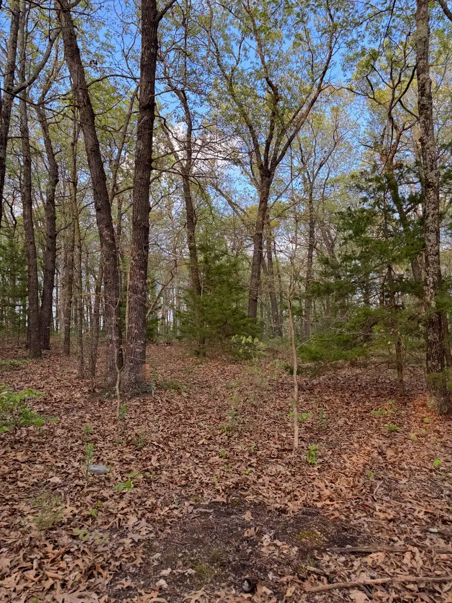 5825 S 2021st Road, Humansville, MO 65674 - #3