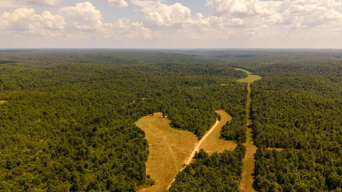 Tbd County Road 443, Birch Tree, MO 65438 - #1