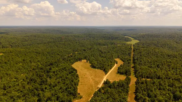 Tbd County Road 443, Birch Tree, MO 65438