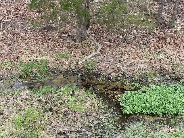 000 Washboard Road, Fordland, MO 65652 - #1