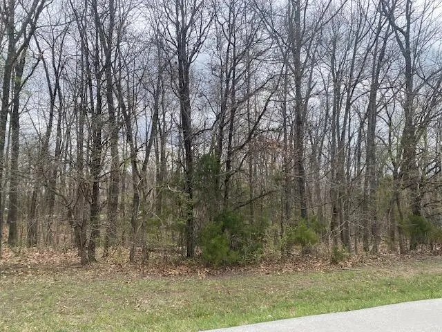 000 Washboard Road, Fordland, MO 65652 - #2