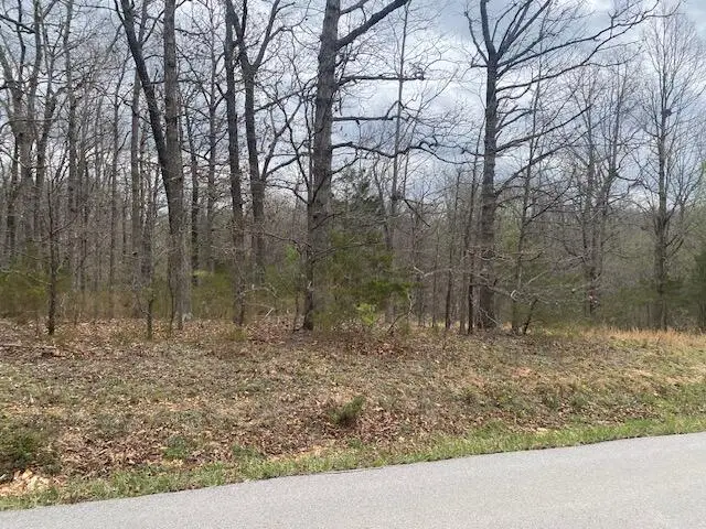 000 Washboard Road, Fordland, MO 65652 - #3