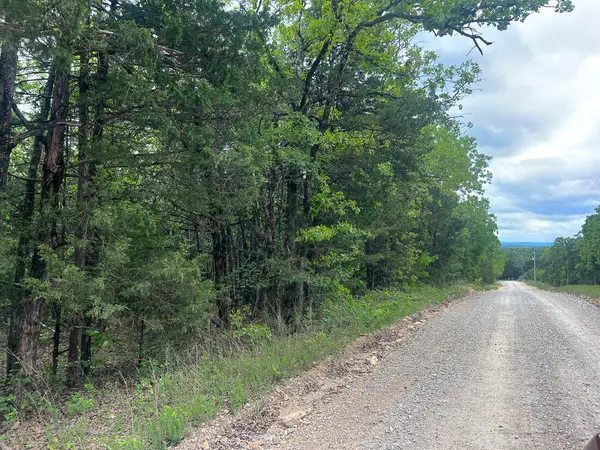 Tbd 000 County Road 656, Theodosia, MO 65761