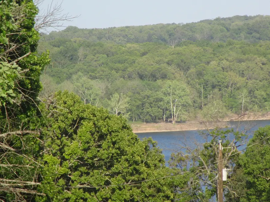 24415 Bald Eagle Drive, Golden, MO 65658 - #3