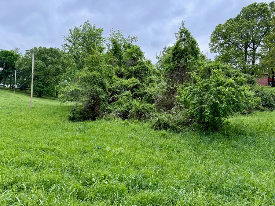 Xxx Deer Ridge Road, Neosho, MO 64850 - #3