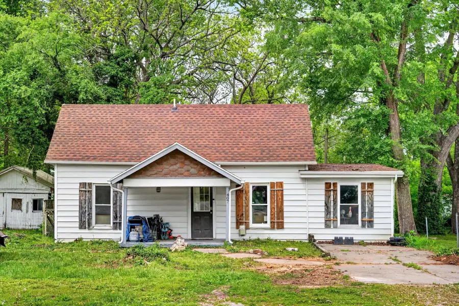 407 S Clarke Avenue, Clever, MO 65631 - #2