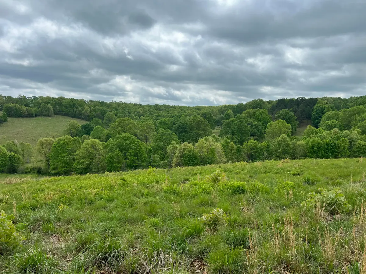 Co Rd 321 Route 5, Ava, MO 65608 - #1